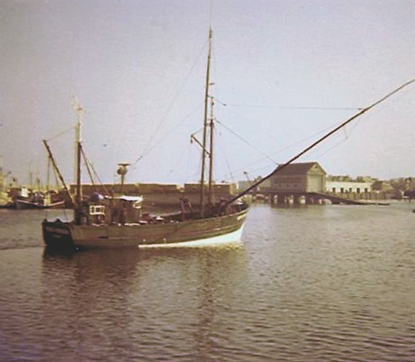 Reine-des-Berceaux001