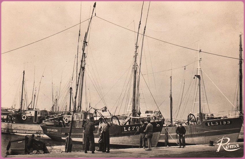 Rose-Mystique-Etel001