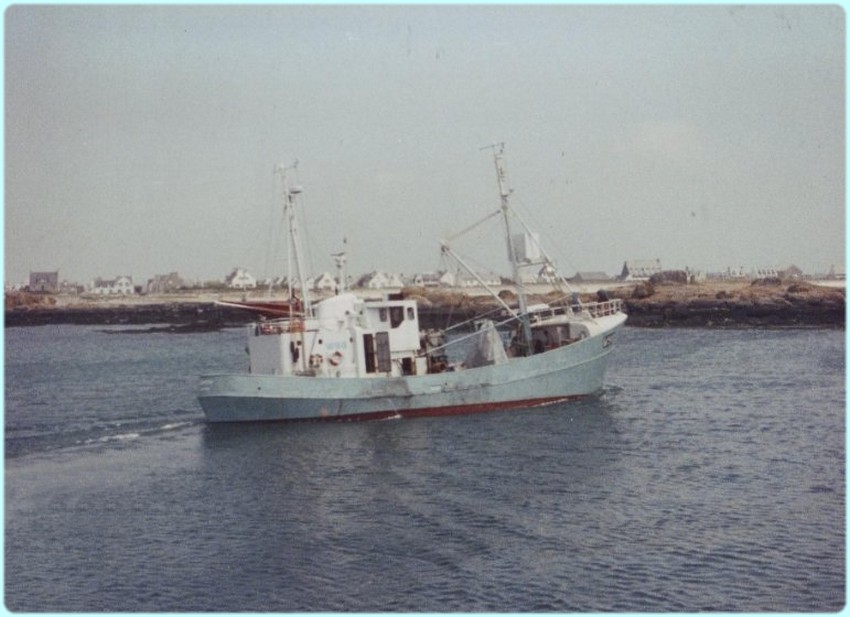 Treminouunk Treminouunk